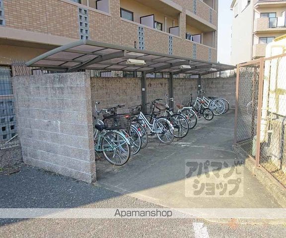 カシオペアの周辺写真