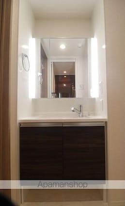 セレスティア小豆沢[1LDK/35.14m2]の洗面所