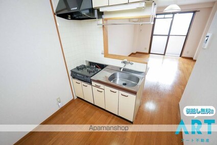 オーパスワン[1R/31m2]のキッチン