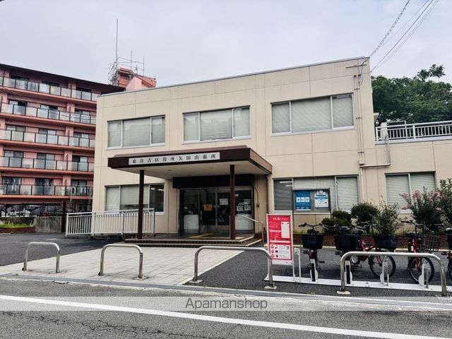 F asecia copperの周辺写真