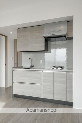 ザ・パークハビオ目白タワー[2DK/44.64m2]のキッチン