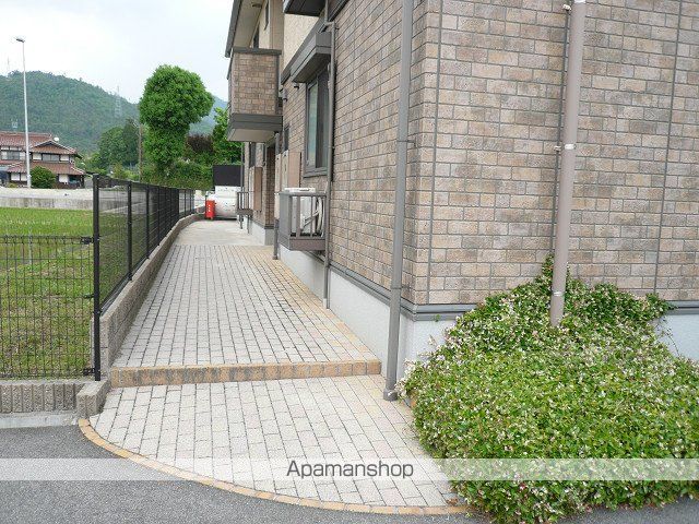 ラファエルCのその他写真