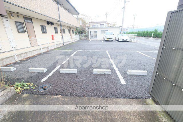 MSフリージアのその他写真