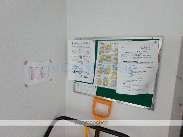 パナシェ宮の森のその他写真