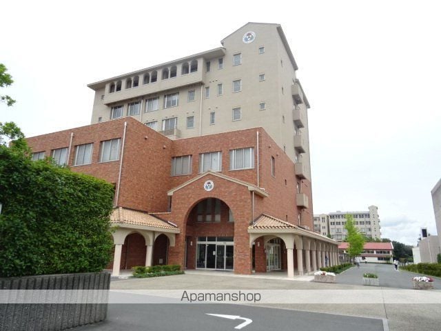 アミスターIIの周辺写真