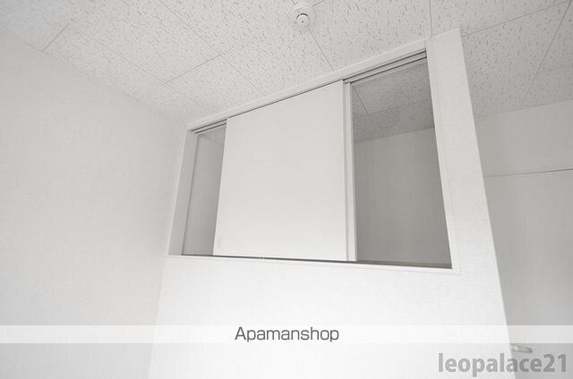 レオパレスアムール[2DK/49.68m2]の収納