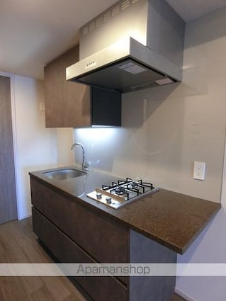 ザ・パークハビオ高円寺レジデンス[1LDK/40.63m2]のキッチン