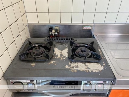 ニュークレインハイツＡ・Ｂ棟[3DK/44.71m2]の内装3