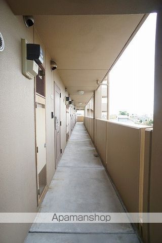 BONITOのその他写真