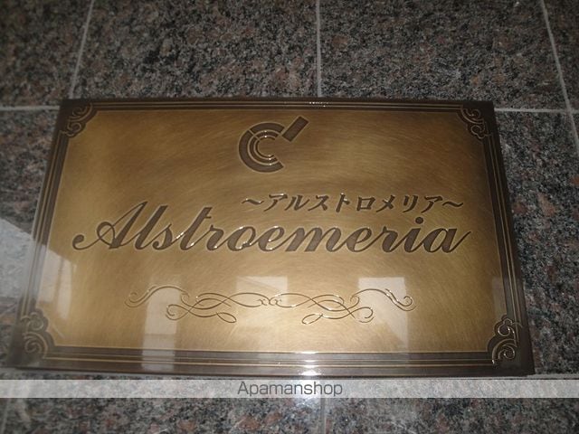 アルストロメリアのその他写真
