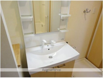 茨城県土浦市下高津４丁目[2LDK/55.3m2]の洗面所