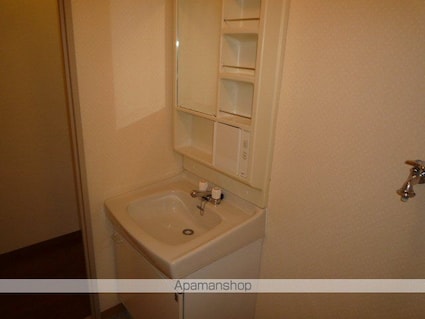 シャトー洗堰Ⅱ[1LDK/50m2]の洗面所