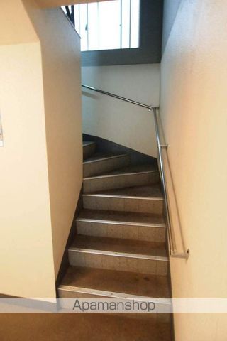 クリサンテームのその他写真