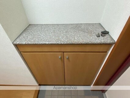 シャンドゥエピナール[1R/29.6m2]の玄関