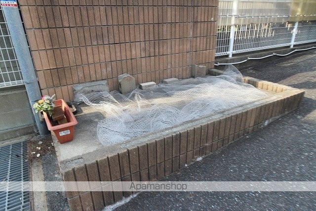 プレシャスコーラルのその他写真