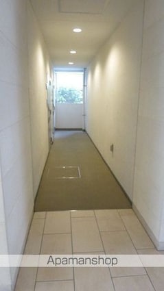 ＣＡＳＳＩＡ押上[1K/21.8m2]の外観3