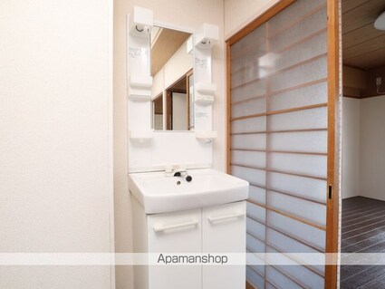 サングリーン新栄[2DK/42.23m2]の洗面所