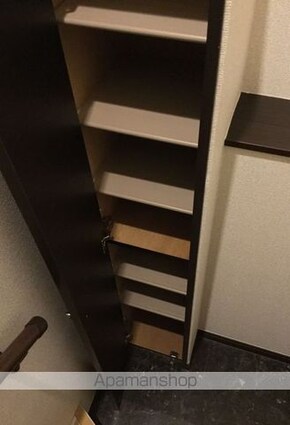 レオネクストあさか野[1K/31.62m2]の収納2