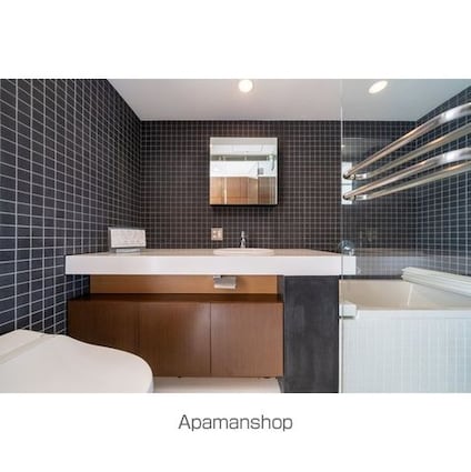 コートブランシェＡＰ[1R/25.43m2]の洗面所