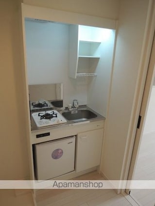 ザ・コートハウス十条ＩＩ[1K/16.87m2]のキッチン