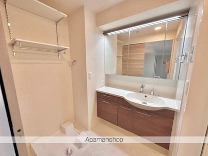 滋賀県東近江市五個荘竜田町[1LDK/40.99m2]の洗面所