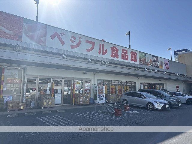 レオネクストメゾン グリシーヌの周辺写真