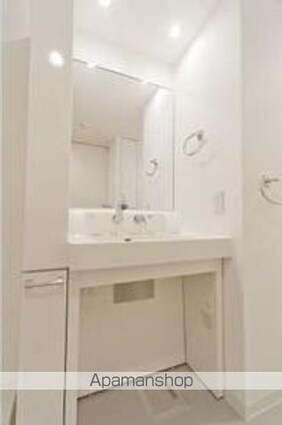 東京都新宿区市谷薬王寺町[1LDK/43.96m2]の洗面所