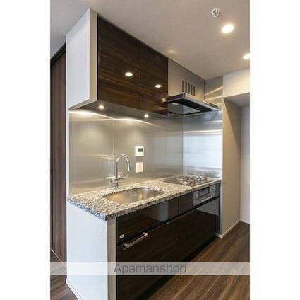 東京ポートシティ竹芝レジデンスタワー[1LDK/48.58m2]のキッチン