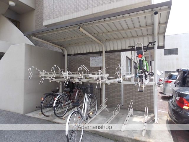 セルテスIIIのその他写真