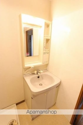 サン・ヴァリー１１５[3DK/64.7m2]の洗面所