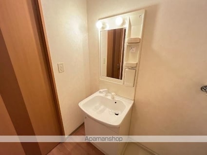 岡山県和気郡和気町和気[2LDK/51.66m2]の洗面所1