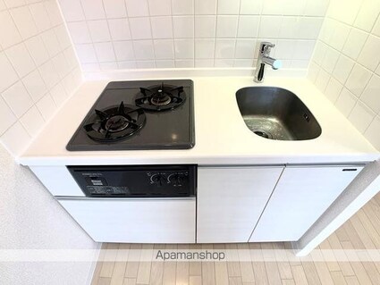 ジョイシティ住吉Ⅱ[1R/21.77m2]のキッチン2