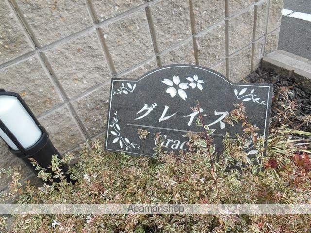 グレイスのその他写真