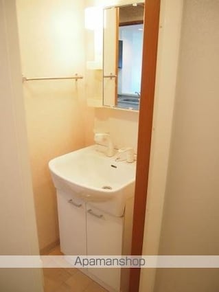 ブリリアンヒルズ　Ｌ１[1R/37.75m2]の洗面所