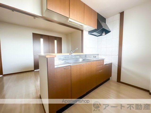 愛媛県松山市小川[2LDK/51.66m2]のキッチン