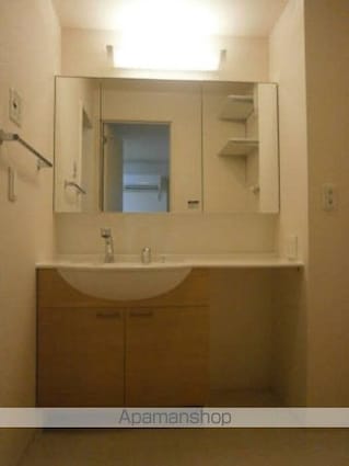 Ｔ’ｓ　ｓｏｕｔｈ[2DK/45.29m2]の洗面所