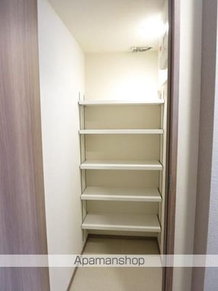 Ａーｓｔａｎｄａｒｄ芝浦[2LDK/51.8m2]の収納