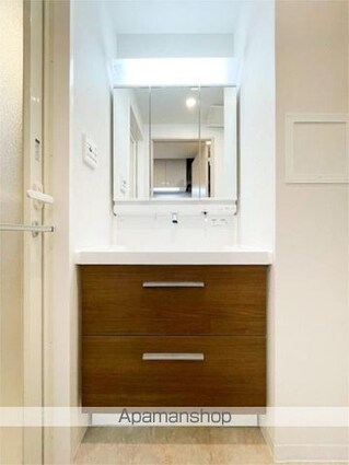 ＡＥＬＬ亀有[1K/27.05m2]の洗面所