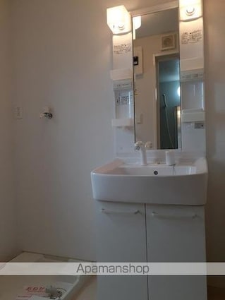 フェアリー・テール　Ⅳ[2DK/55.09m2]の洗面所