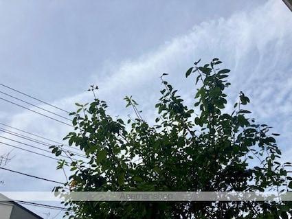 埼玉県白岡市新白岡７丁目[2LDK/69.3m2]の内装1