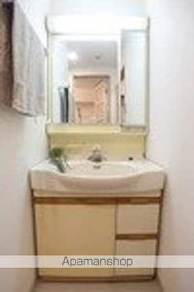 コンフォート文京小石川[1DK/33.27m2]の洗面所