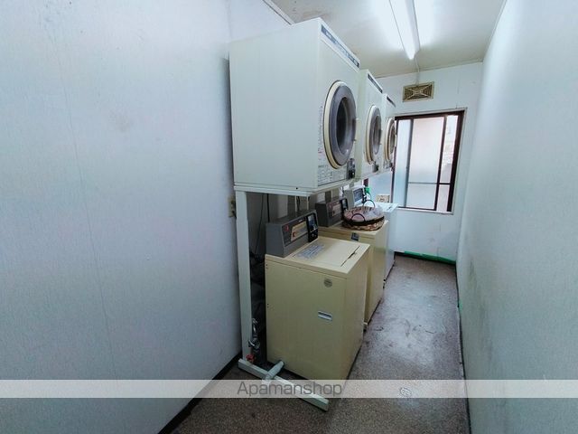 ブルージェつばきのその他写真