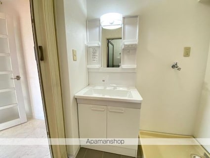 ベルエミナンス桜町[2LDK/53.32m2]の洗面所