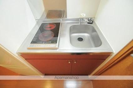 レオパレスエクセル林泉寺　弐[1K/23.61m2]のキッチン