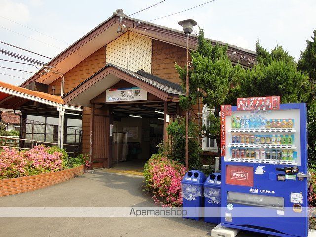 シャイニーの周辺写真