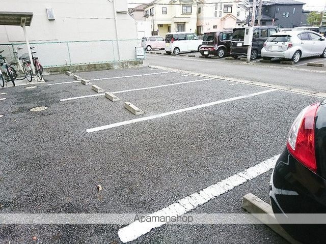 アサミエレガンスのその他写真