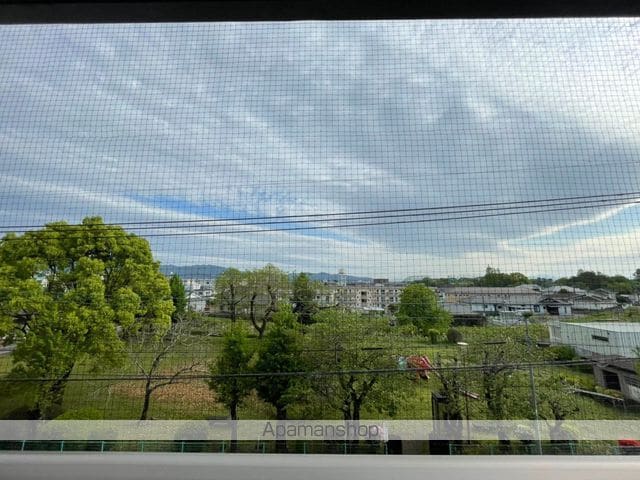フリューゲル年見のその他写真