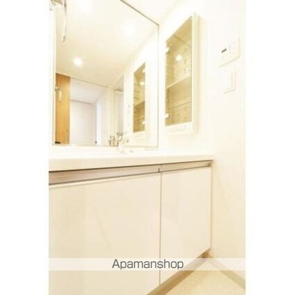 パークアクシス御茶ノ水ステージ[1LDK/41.39m2]の洗面所