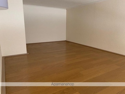 レオパレスミレニアム[1K/20.28m2]のその他部屋・スペース