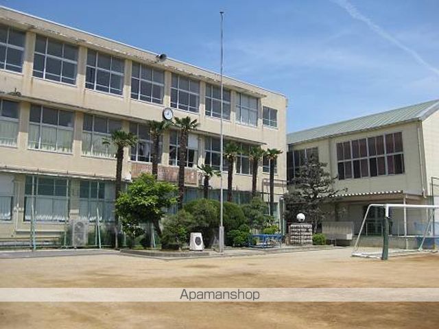 blue roseの周辺写真